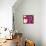 Mandelbrot Fractal-Laguna Design-Framed Stretched Canvas displayed on a wall