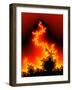 Mandelbrot Fractal-PASIEKA-Framed Premium Photographic Print