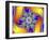 Mandelbrot Fractal-Friedrich Saurer-Framed Premium Photographic Print