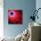 Mandelbrot Fractal-Laguna Design-Photographic Print displayed on a wall