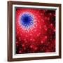 Mandelbrot Fractal-Laguna Design-Framed Photographic Print