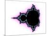 Mandelbrot Fractal-Laguna Design-Mounted Photographic Print