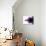 Mandelbrot Fractal-Laguna Design-Photographic Print displayed on a wall