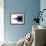 Mandelbrot Fractal-Laguna Design-Framed Photographic Print displayed on a wall