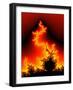 Mandelbrot Fractal-PASIEKA-Framed Photographic Print