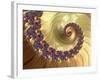 Mandelbrot Fractal-null-Framed Photographic Print