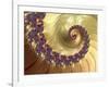 Mandelbrot Fractal-null-Framed Photographic Print