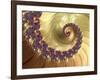 Mandelbrot Fractal-null-Framed Photographic Print