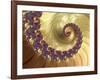 Mandelbrot Fractal-null-Framed Photographic Print