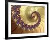 Mandelbrot Fractal-null-Framed Photographic Print