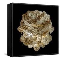 Mandelbulb Fractal-Laguna Design-Framed Stretched Canvas