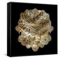 Mandelbulb Fractal-Laguna Design-Framed Stretched Canvas