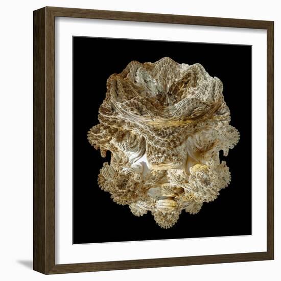 Mandelbulb Fractal-Laguna Design-Framed Premium Photographic Print