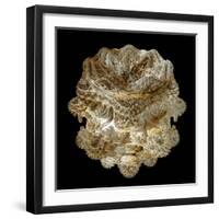 Mandelbulb Fractal-Laguna Design-Framed Premium Photographic Print