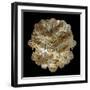 Mandelbulb Fractal-Laguna Design-Framed Premium Photographic Print