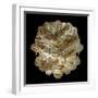 Mandelbulb Fractal-Laguna Design-Framed Premium Photographic Print