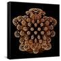 Mandelbulb Fractal-Laguna Design-Framed Stretched Canvas