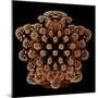 Mandelbulb Fractal-Laguna Design-Mounted Premium Photographic Print