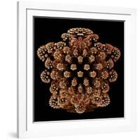 Mandelbulb Fractal-Laguna Design-Framed Photographic Print