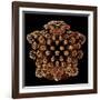 Mandelbulb Fractal-Laguna Design-Framed Photographic Print