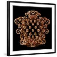 Mandelbulb Fractal-Laguna Design-Framed Photographic Print