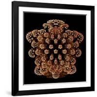 Mandelbulb Fractal-Laguna Design-Framed Photographic Print