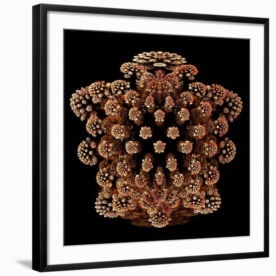 Mandelbulb Fractal-Laguna Design-Framed Photographic Print