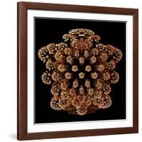 Mandelbulb Fractal-Laguna Design-Framed Photographic Print