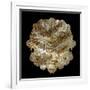 Mandelbulb Fractal-Laguna Design-Framed Photographic Print