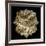 Mandelbulb Fractal-Laguna Design-Framed Photographic Print