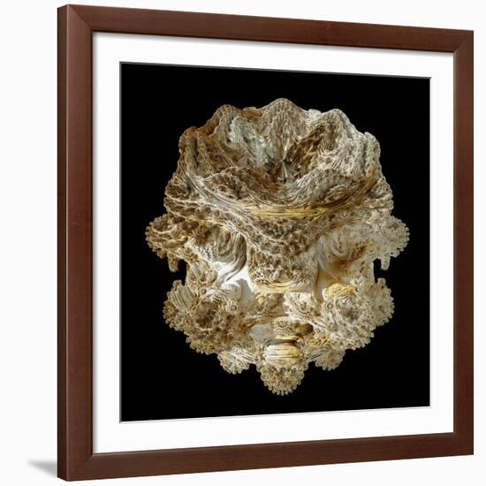 Mandelbulb Fractal-Laguna Design-Framed Photographic Print