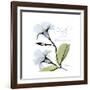 Mandelila Bloom-Albert Koetsier-Framed Premium Giclee Print