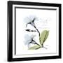 Mandelila Bloom-Albert Koetsier-Framed Premium Giclee Print