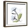 Mandelila Bloom-Albert Koetsier-Framed Premium Giclee Print