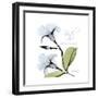 Mandelila Bloom-Albert Koetsier-Framed Premium Giclee Print