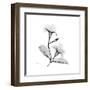 Mandelila Gray-Albert Koetsier-Framed Art Print