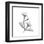 Mandelila Gray-Albert Koetsier-Framed Art Print