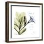 Mandelilla Home-Albert Koetsier-Framed Premium Giclee Print