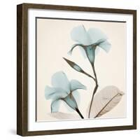 Mandelilla Love-Albert Koetsier-Framed Art Print