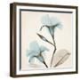 Mandelilla Love-Albert Koetsier-Framed Art Print