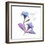 Mandelilla Purp-Albert Koetsier-Framed Art Print