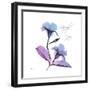 Mandelilla Purp-Albert Koetsier-Framed Art Print