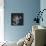 Mandelilla Shadow 1-Albert Koetsier-Framed Stretched Canvas displayed on a wall