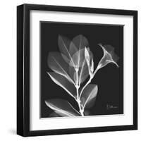 Mandelilla Shadow 1-Albert Koetsier-Framed Art Print