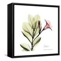Mandelilla Square-Albert Koetsier-Framed Stretched Canvas