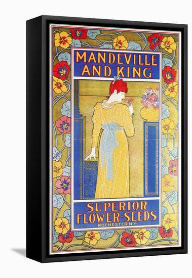 Mandeville & King Superior Flower Seeds-Louis John Rhead-Framed Stretched Canvas