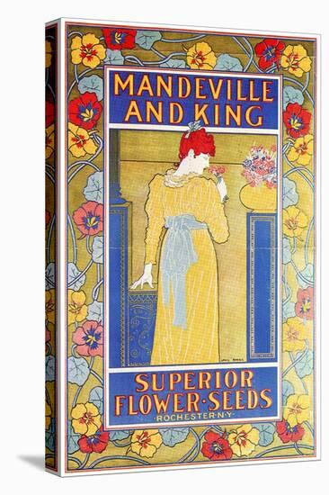 Mandeville & King Superior Flower Seeds-Louis John Rhead-Stretched Canvas