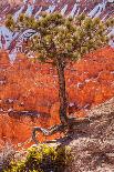 Painted Desert Badlands Petrified Forest-mandj98-Framed Photographic Print