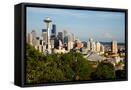 Framed Canvas