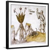 Mandrake And Herbalist-null-Framed Giclee Print